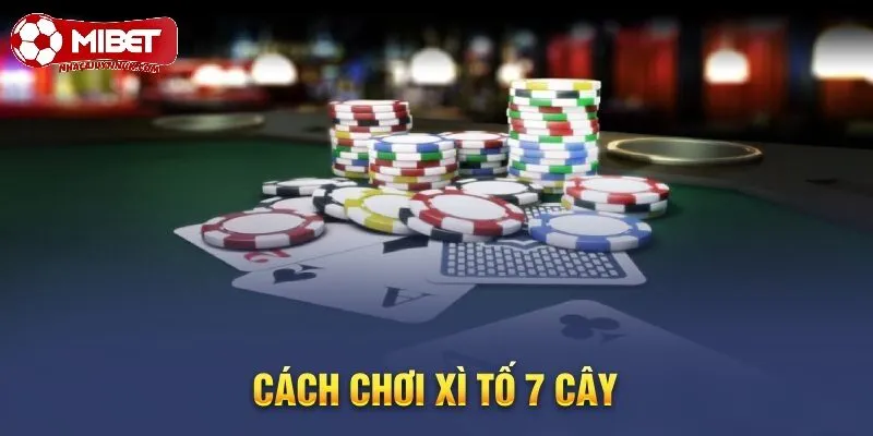 Cẩm nang chơi xì tố 7 cây từ đơn giản đến phức tạp cho hội viên mới