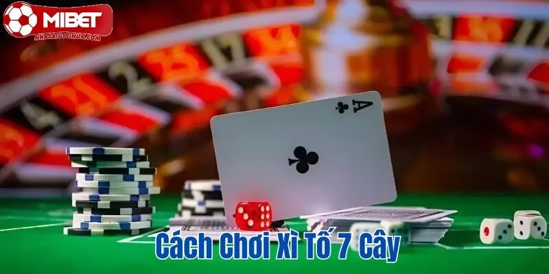 Cách Chơi Xì Tố 7 Cây tại Mibet