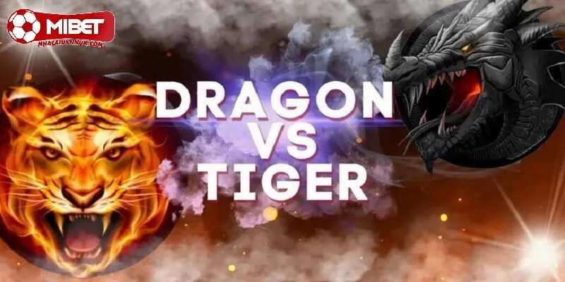 Một vài lưu ý cần nắm khi chơi Dragon Tiger tại Mibet