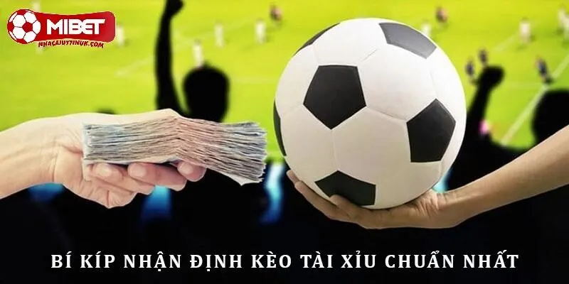 Bí quyết chọn tỷ lệ O/U đại thắng